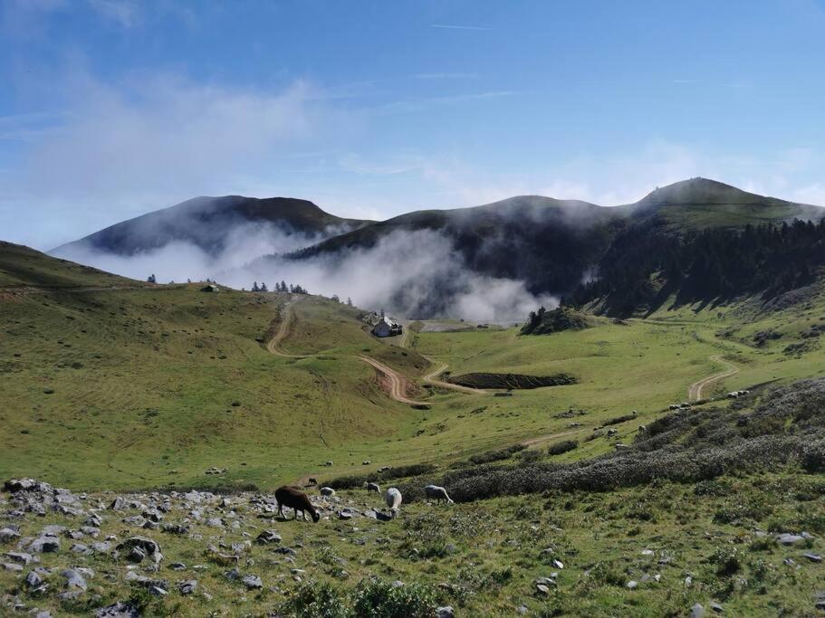 Cabane Dans Les Bois Avec Vue Sur Les Pyrenees Saint-Laurent-de-Neste Eksteriør bilde