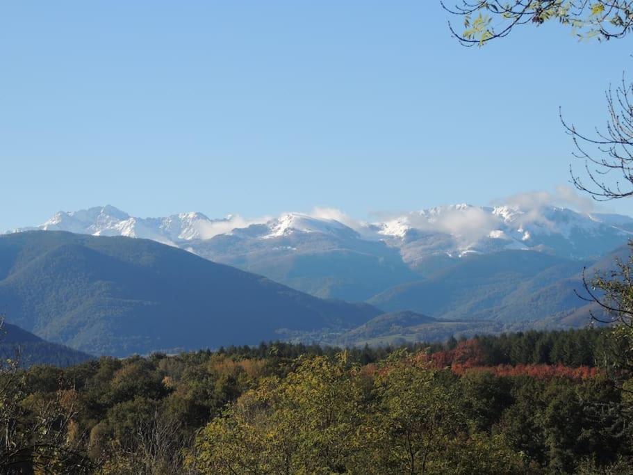 Cabane Dans Les Bois Avec Vue Sur Les Pyrenees Saint-Laurent-de-Neste Eksteriør bilde